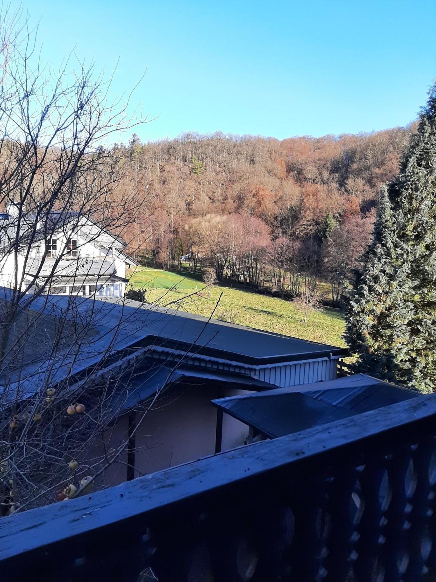 Ferienwohnung Bergblick Hallenberg Exterior foto